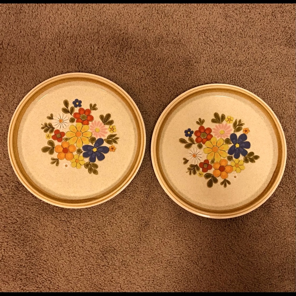 Mikasa Floribunda dinner plates- Set of 2